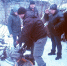 В Новомосковске поисковики вытащили упавшую в подвал собаку: видео - Myslo.Ru
