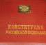 Срок внесения поправок в Конституцию предложено продлить - ИА Тульская служба новостей