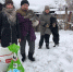 Плавские волонтёры организовали сбор помощи бездомным животным - Тульские СМИ