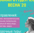 Стартовал прием заявок на участие в фестивале "Тульская студенческая весна - 2020" - Администрация г. Тула
