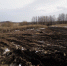 В Тульской области ликвидировали несанкционированную свалку возле водоема - Центр 71