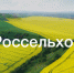 Россельхозбанк открывает для тульских фермеров «зеленый коридор» - ИА Тульские новости