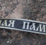В Тульской области смертность мужчин трудоспособного возраста почти в 4 раза выше, чем у женщин - ИА Тульские новости