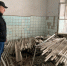 В Узловском районе начато расследование по факту несанкционированной свалки опасных отходов - ИА Тульские новости
