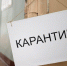 В Тульской области мужчина нарушил карантин, пошел на кладбище и получил за это штраф - Центр 71