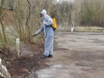 Свалку ртутьсодержащих ламп ликвидировали под Богородицком