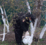 IMG-20200430-WA0007 - УМВД Тульской области
