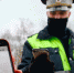 Житель Подмосковья пытался проехать в Тульскую область без пропуска - ИА Тульская служба новостей