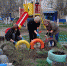 В Венёве пройдет конкурс «Лучший двор» - Тульские СМИ