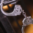 Предполагаемый виновник смертельного ДТП взят под стражу в Новомосковске - Молодой Коммунар