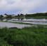 Село Дедилово ушло под воду - ИА Тульские новости