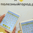 Проект +1Город выпустил мобильное приложение с антикризисной программой взаимопомощи - Молодой Коммунар