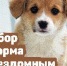 Общественная палата Тульской области организует акцию по сбору корма бездомным животным "Мы в ответе за тех, кого приручили" - Общественная палата