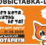 Тульский Экзотариум приглашает на выставку в честь Дня кошек - Центр 71
