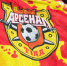 Тульский «Арсенал» продлил сотрудничество с известной букмекерской компанией - Молодой Коммунар