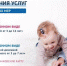 Супер-сервисы: что за туляков сделают сайты госуслуг - Myslo.Ru
