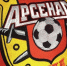 Игроки тульского «Арсенала» – в сборной неудачников - Молодой Коммунар