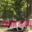 В Новогуровском перевернулся Renault Duster - Myslo.Ru