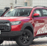 Haval в Тульской области расширится пикапом - Молодой Коммунар