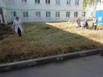 Субботник