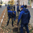 В Новомосковске в рамках экологической акции высадили деревья - ИА Тульские новости