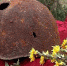 Разыскиваются родственники туляка, погибшего в годы Великой Отечественной войны - Газета Тула
