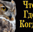 Online-игра «Что? Где? Когда?» - ТГПУ им. Л.Н. Толстого