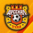 Четверо футболистов тульского "Арсенала" вызваны в сборные - Газета Тула