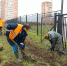В Туле завершена осенняя кампания по озеленению города - Администрация г. Тула