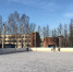 В Туле залили 15 катков - Myslo.Ru