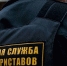 После ареста автомобиля туляк оплатил налоговые задолженности и штрафы ГИБДД - ИА Тульская служба новостей