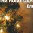 Тульский «Эрмитаж» запускает акцию «Огни новогодней елки». - Администрация г. Тула