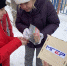 Молодогвардейцы совместно с многодетными семьями Тулы установили скворечники для птиц - Единая Россия