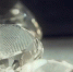 Именем первой вакцины от COVID-19 назовут огромный алмаз - ГТРК
