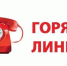 Роспотребнадзор проведет горячую линию для туляков - Газета Тула