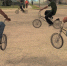 Grand Theft Bike: как тулякам уберечь велосипед от кражи - Молодой Коммунар