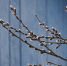 Погода в Туле 29 марта: солнечно, до +4 и повышенное атмосферное давление - Центр 71
