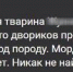 Жительница Донского превратила квартиру в «собачий ад» - Myslo.Ru