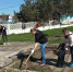 В Туле стартовал общегородской субботник - ГТРК