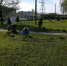 Субботник 15.05.2021 - Городская больница №9