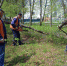 В ходе общеобластного субботника в Туле убрано 444 000 кв. м территории - Газета Тула