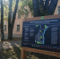 В самом маленьком городе России Чекалине благоустроят тротуары по экскурсионным маршрутам - Молодой Коммунар