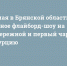 В перевернувшемся автомобиле в Тульской области пострадала 5-летняя девочка - ИА Тульские новости
