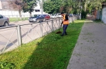 Благоустройство в городе
