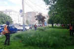 Благоустройство в городе
