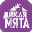 В Тульской области «Дикая мята» потеряла на отмене фестиваля около 100 млн рублей - ИА Тульские новости