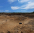 Страшнее бездны только куры - Молодой Коммунар
