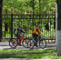 Девять медалей привезли туляки со спартакиады молодежи - ИА Тульская служба новостей