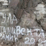 Туристы из Тулы оставили каракули на карельской скале - Myslo.Ru