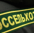 В Узловском районе владелец ЛПХ заплатит штраф за нарушения в содержании свиней - ИА Тульские новости